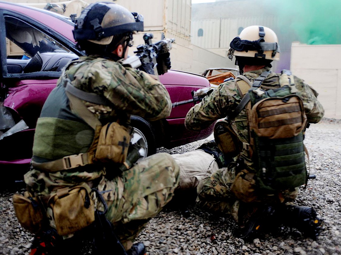 In The Wild: AFSOC Block 1.5 Reference Material – The Reptile House
