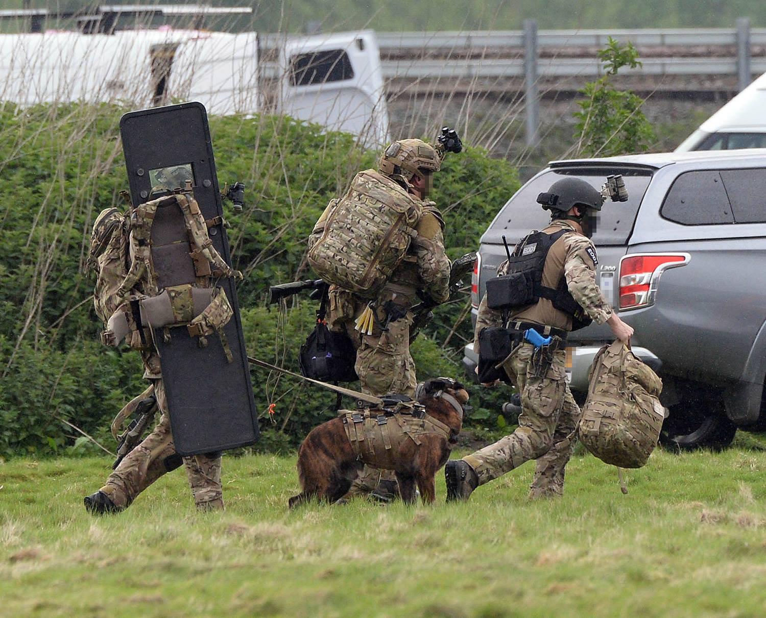 13116376_718926488249979_6811576474849984425_o