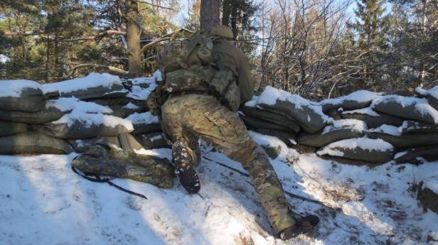 14218189_1690979237895279_422533072_n