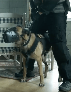 screen-shot-2016-09-09-at-21-37-46