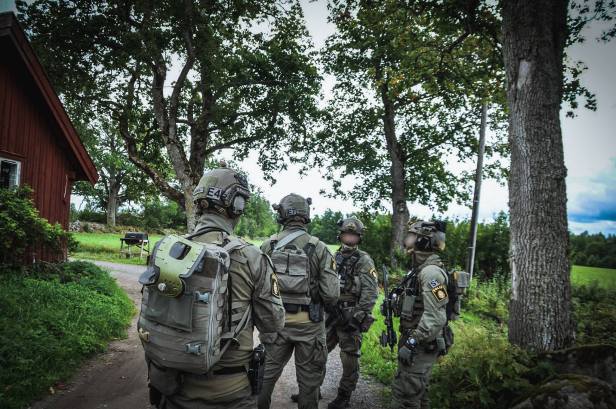 27651264_10215216443515255_725628256_o